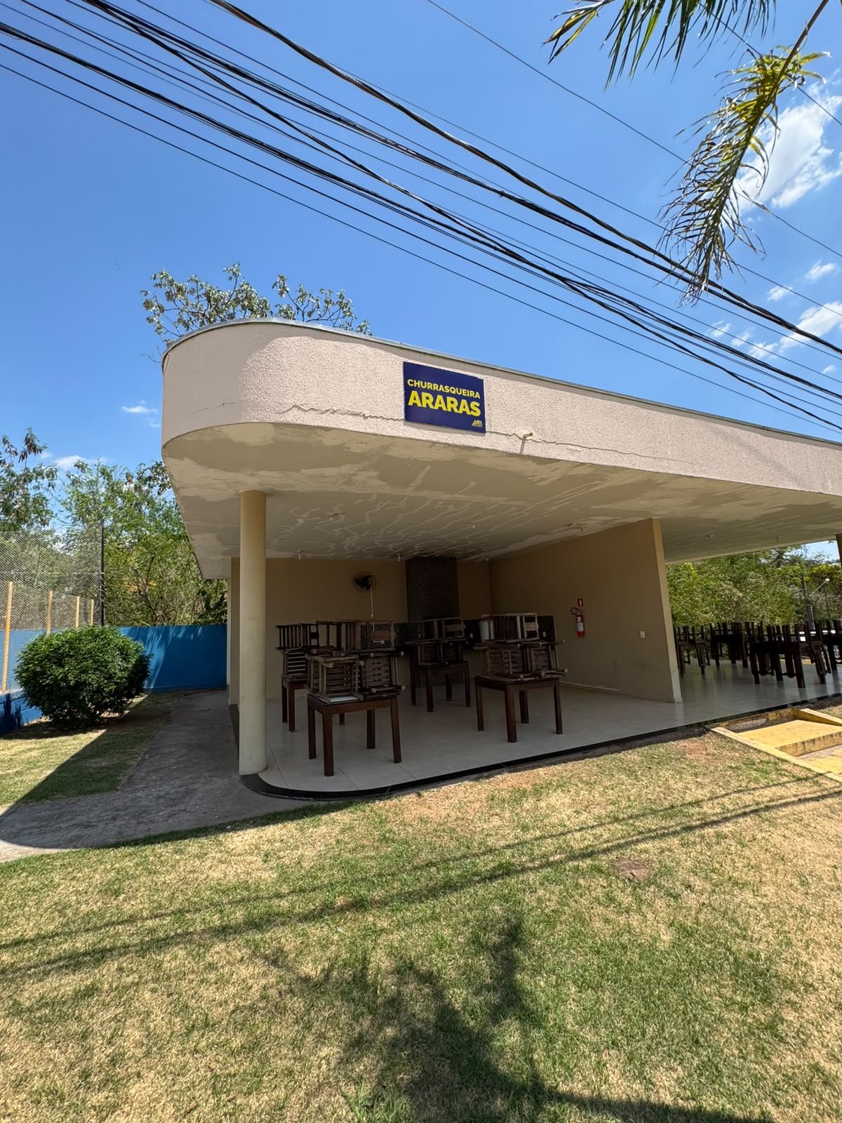 capivara-arara-2